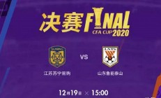 B体育体育vip注册-苏宁备战足协杯决赛，全队士气高涨