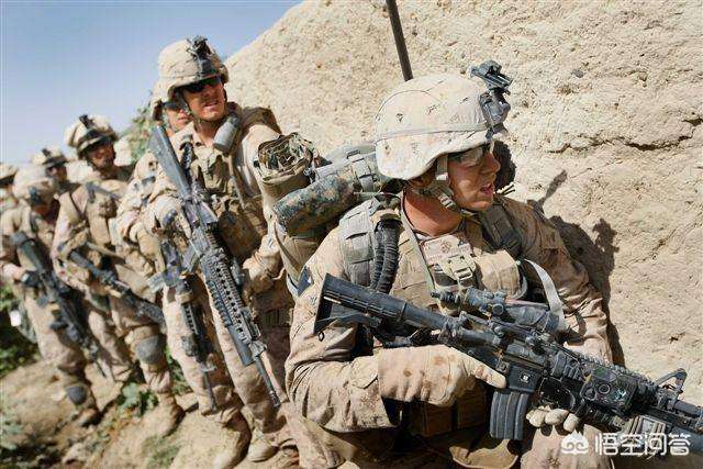 波黑战斯洛伐克，伊比舍维奇再领军的简单介绍